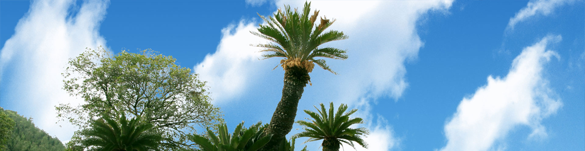 我命在我不在天 ，延長(cháng)生命從有機生活開(kāi)始。