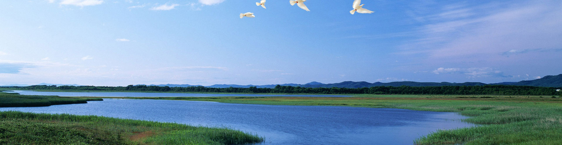 我們來(lái)于大自然，我們敬畏大自然，我們善待大自然。