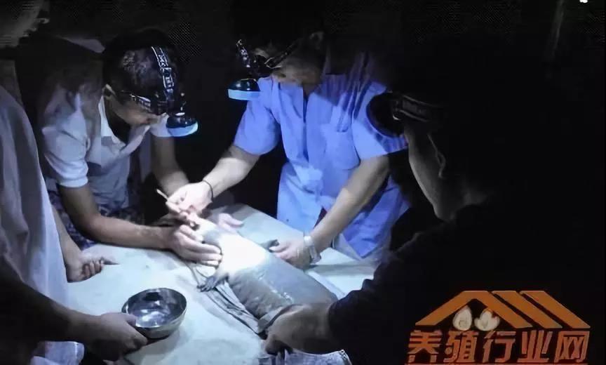 15350779851858.jpg 資本試水區塊鏈生物科技01.jpg