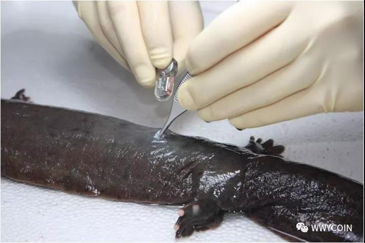 15350780033684.jpg 資本試水區塊鏈生物科技02.jpg