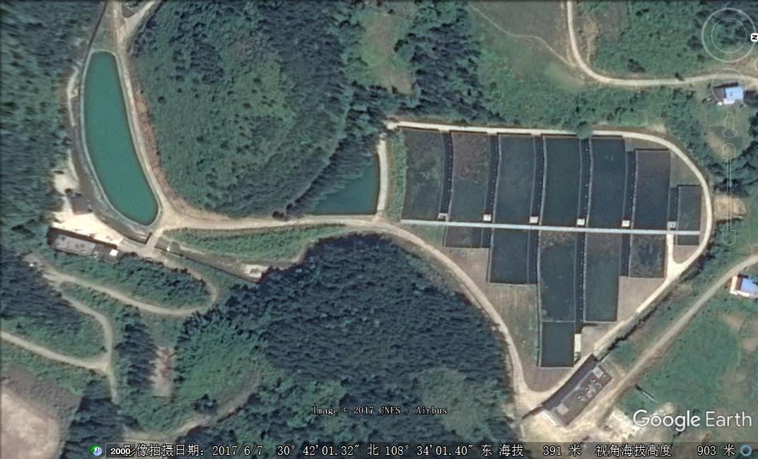 15398418258312.png 反對日本v.png