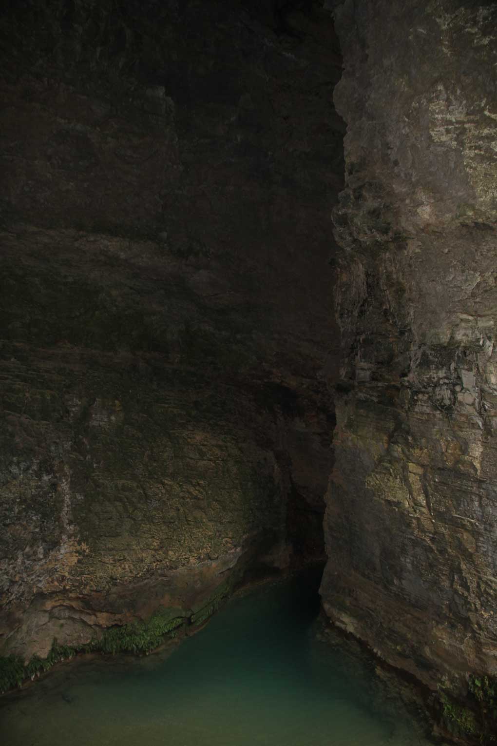 15404344325141.jpg 圖片2.jpg