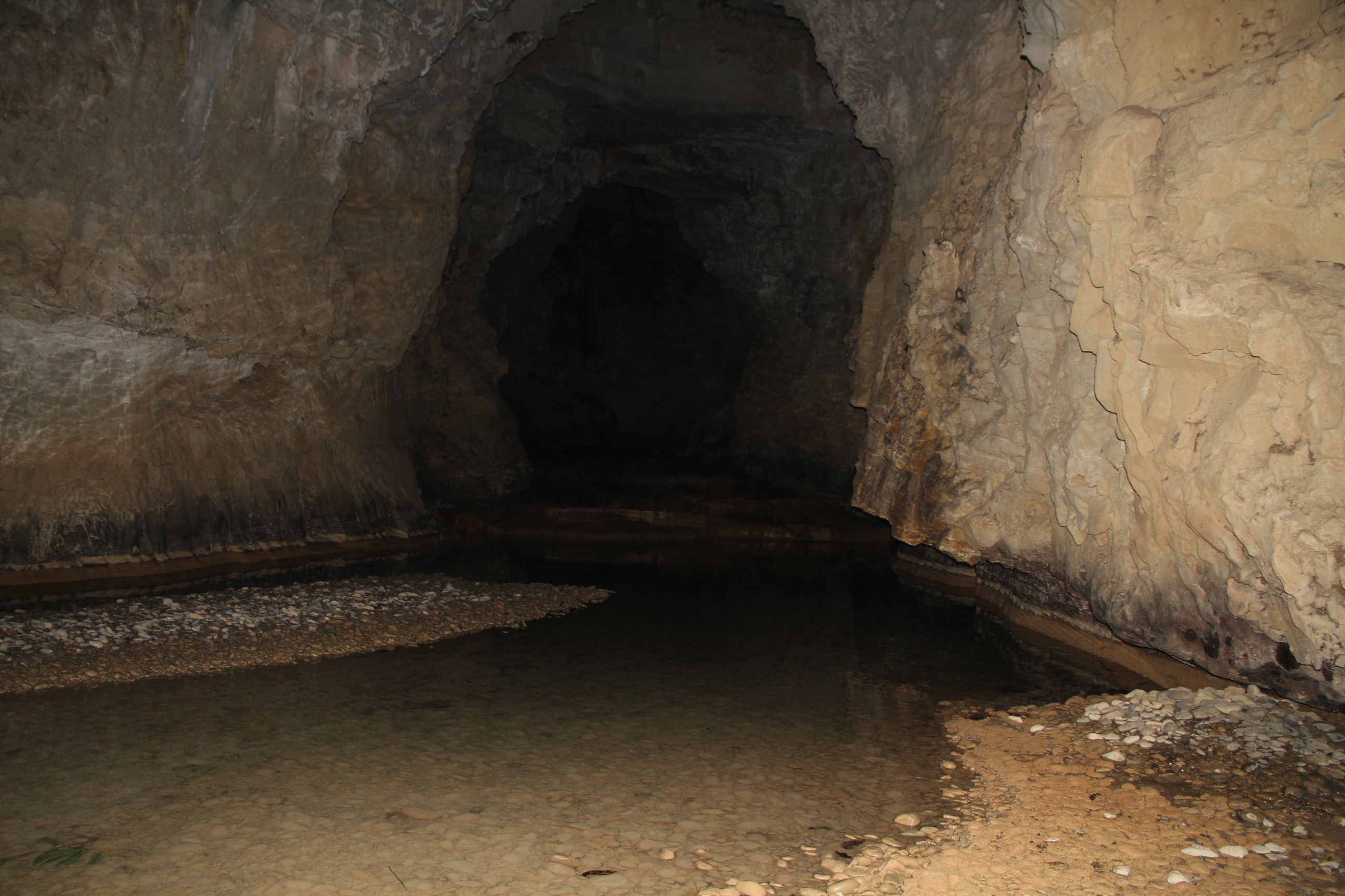 15404345235978.png 圖片5.png