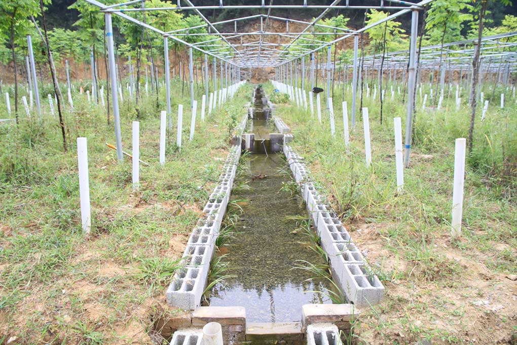 15404345663342.jpg 圖片7.jpg