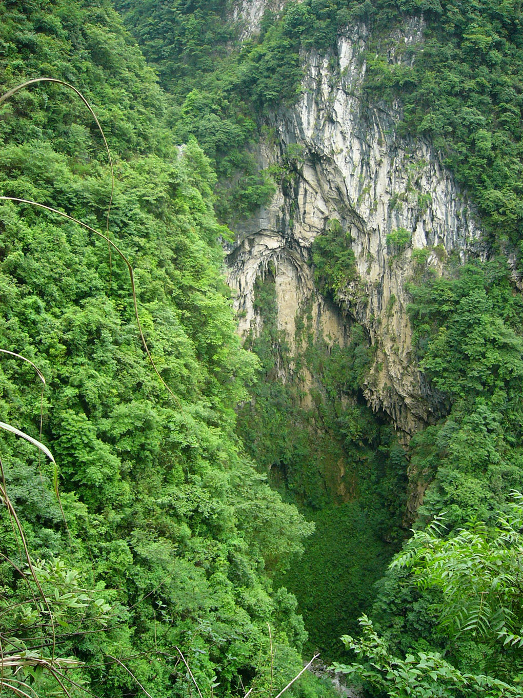 15407792642543.jpg P1200703.jpg