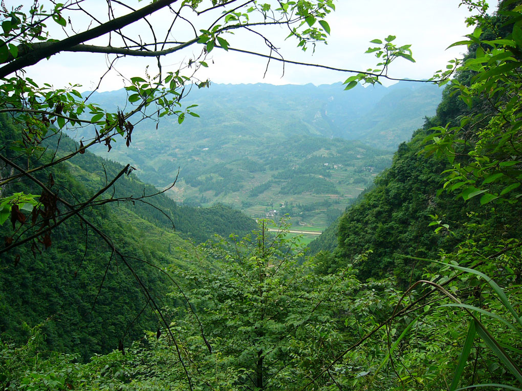 15407792914360.jpg P1200769.jpg