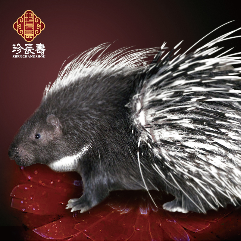 【有機認證】周身是寶，不是豬的“豬”（長(cháng)生淀基地年產(chǎn)量1萬(wàn)頭）